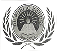 du-public-school-chandikhole